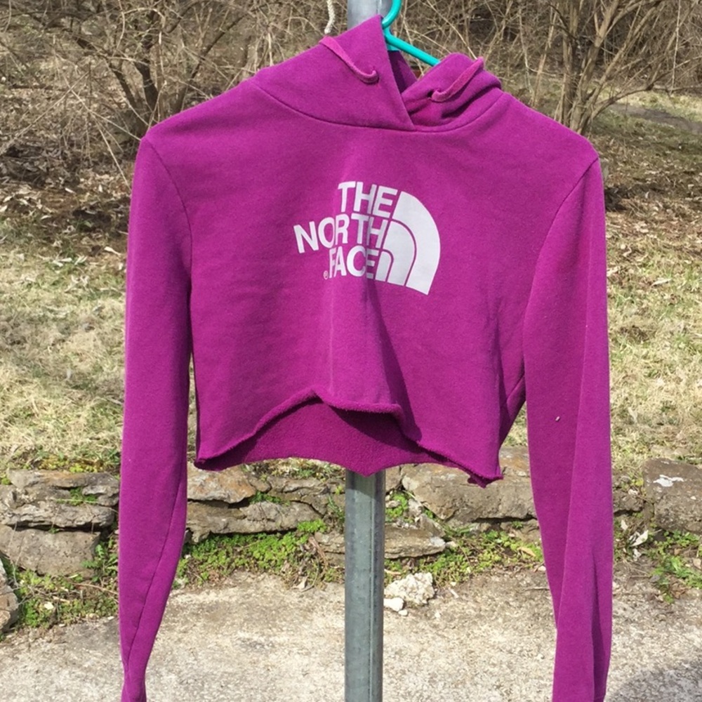 The North Face crop hoodie sweatshirt. - Picture 1 of 8